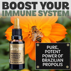 Brazilian Premium Green Propolis 100% Green