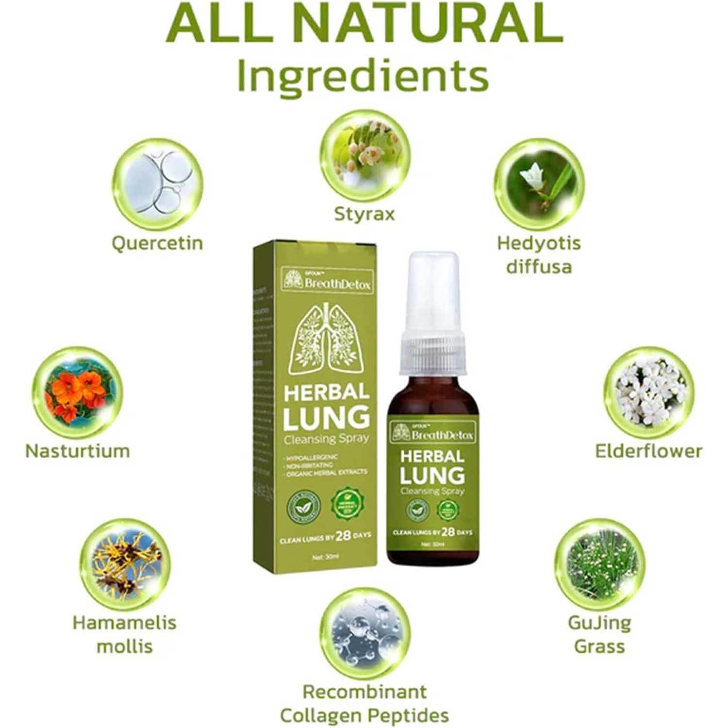 Breathdetox Herbal Lung Spray close-up with ingredients