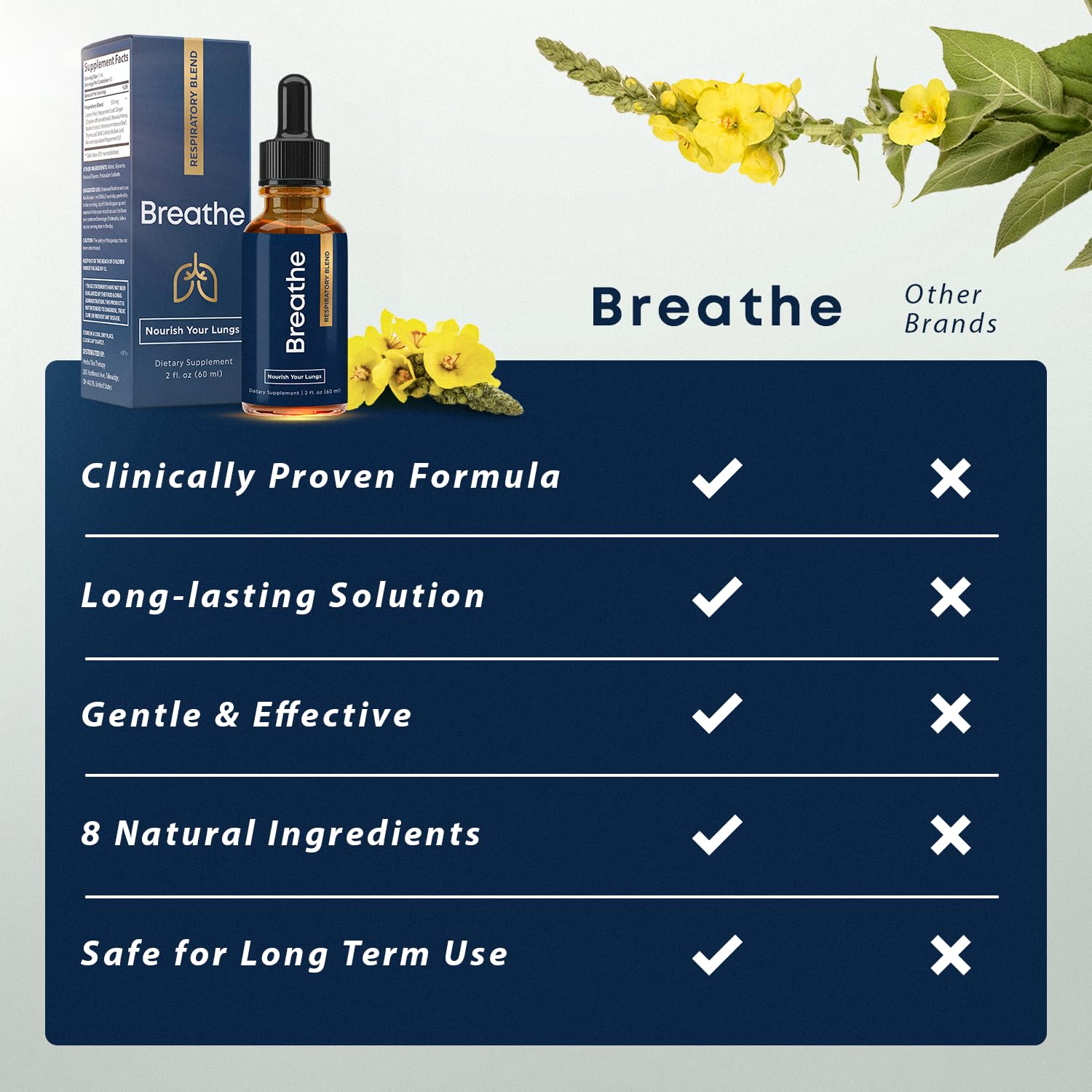 Mullein leaf ingredient illustration for BREATHE Drops