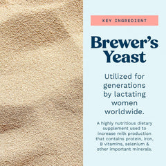 Close-up of brewer's yeast powder texture