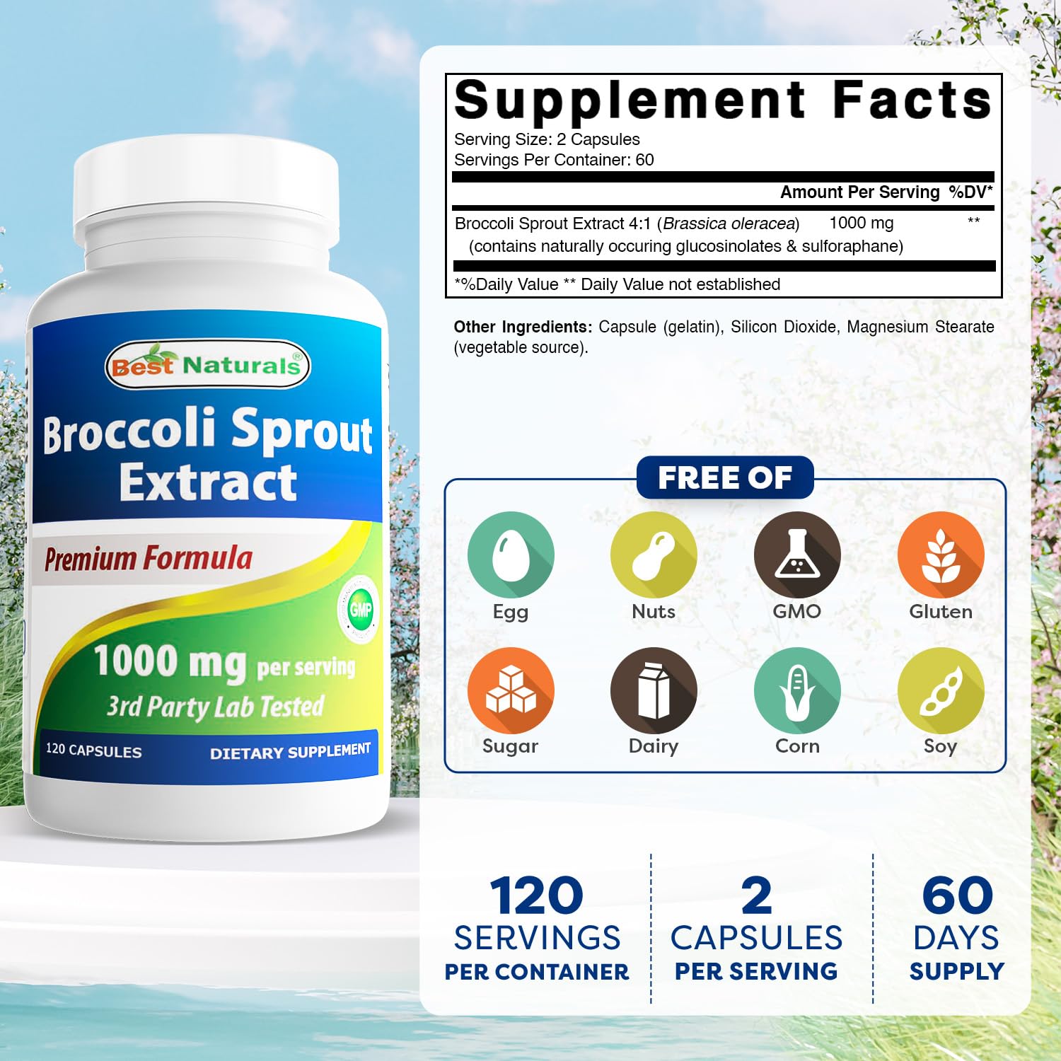 Close-up of a 1000 mg broccoli sprouts extract capsule