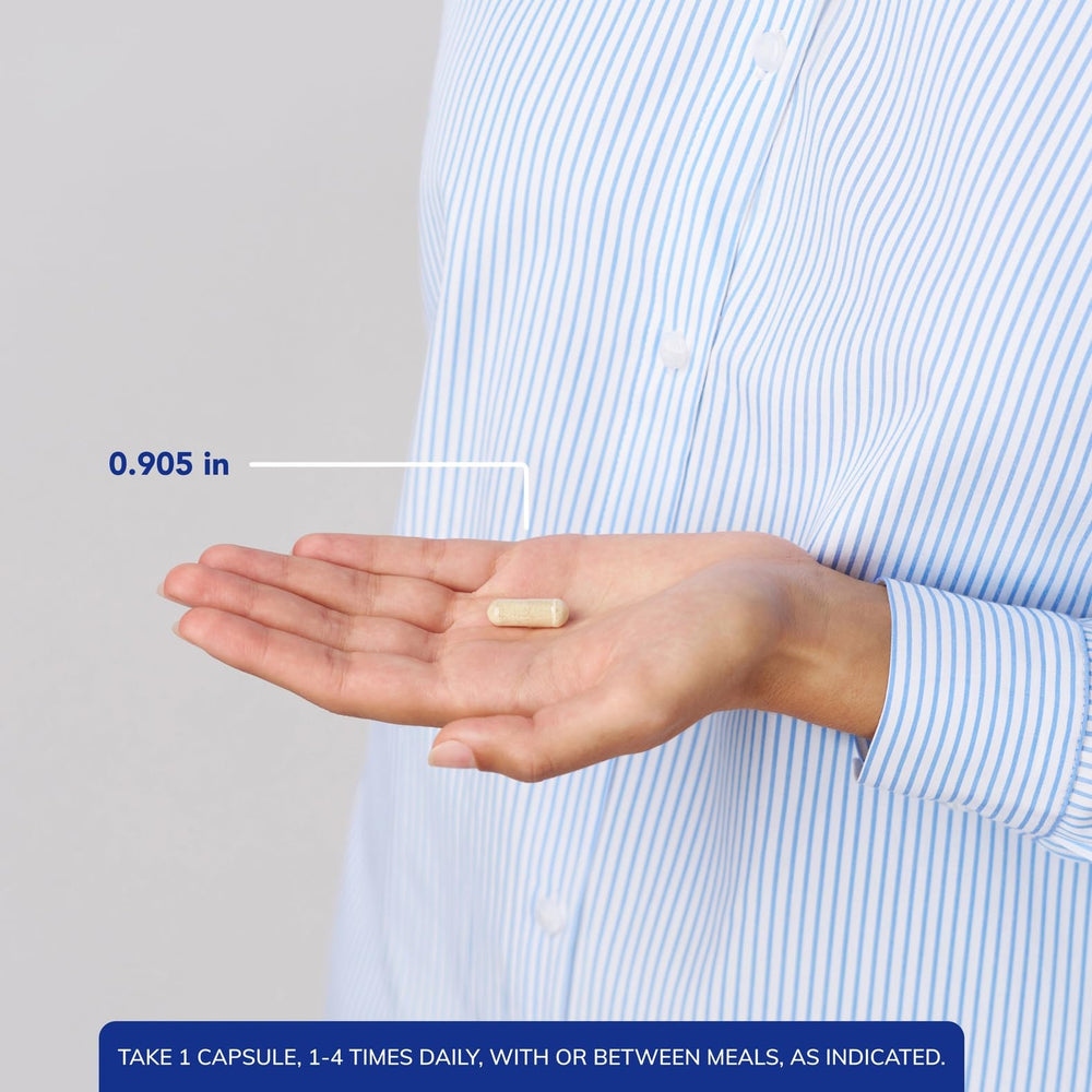 Graphic illustrating digestive support from Bromelain 2400 500 mg