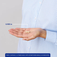 Graphic illustrating digestive support from Bromelain 2400 500 mg