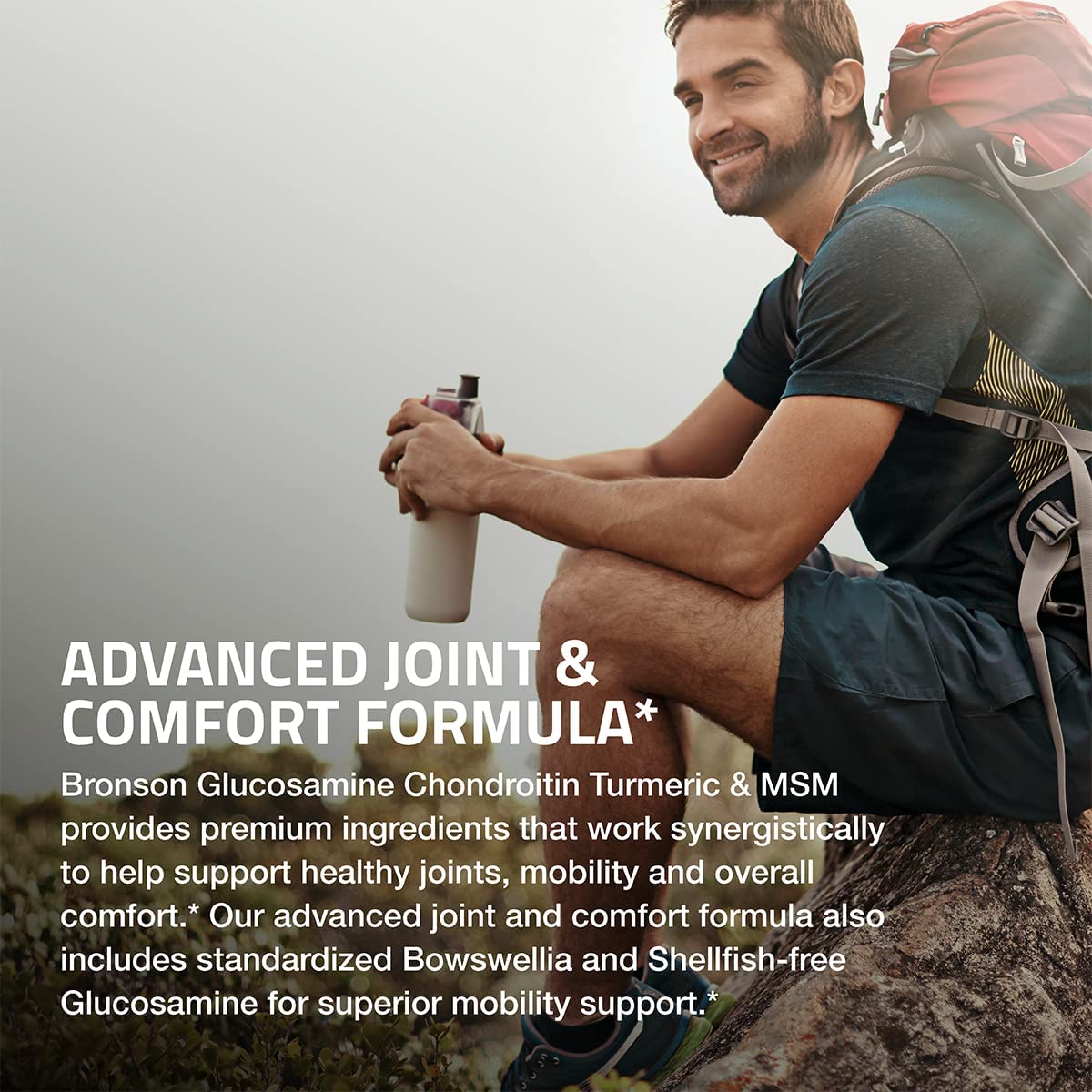 Supplement facts and Boswellia extract