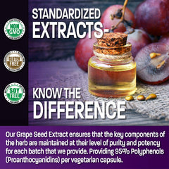 Supplement facts panel showing 95% proanthocyanidins