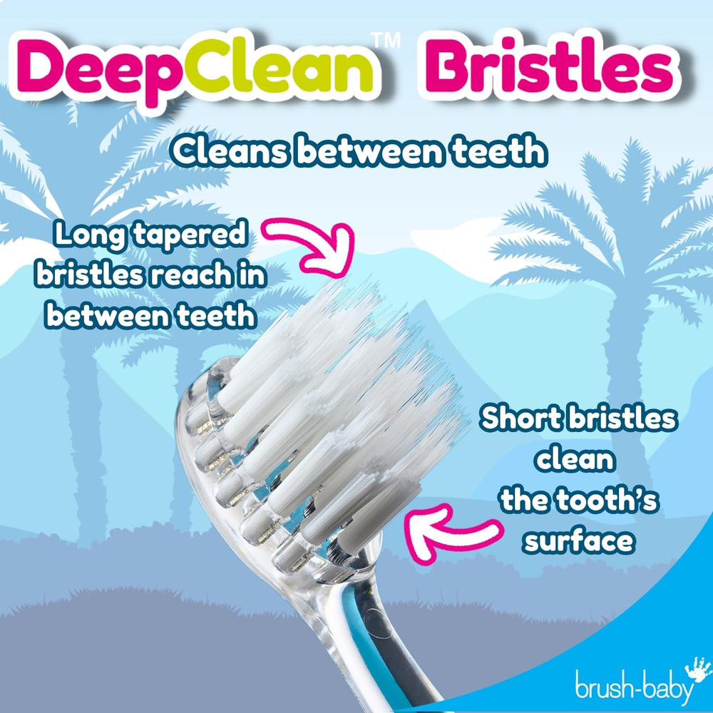 2-minute smart timer indicator on the toothbrush