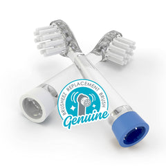 Brusheez Little 2-Pack Replacement Brush Heads Kiwi Koala — front view
