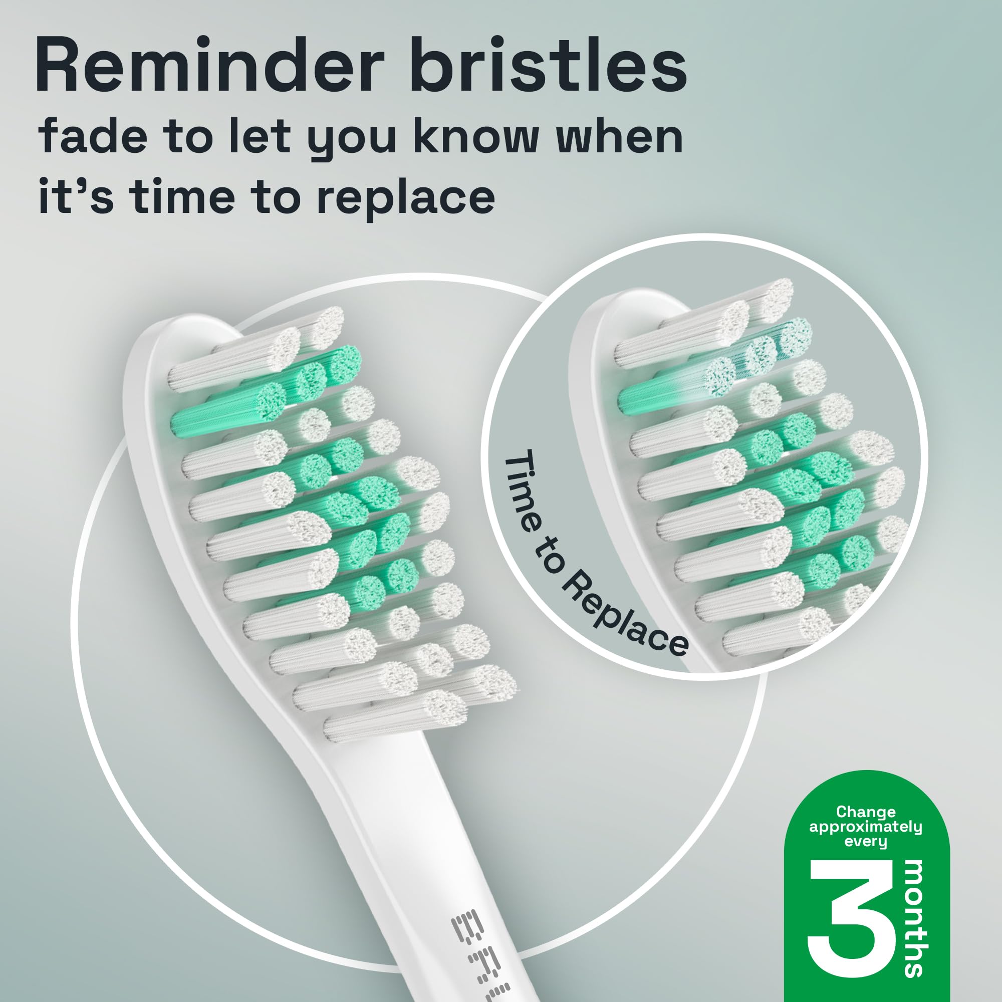 Head showing multiple contact points and rounded bristle tips