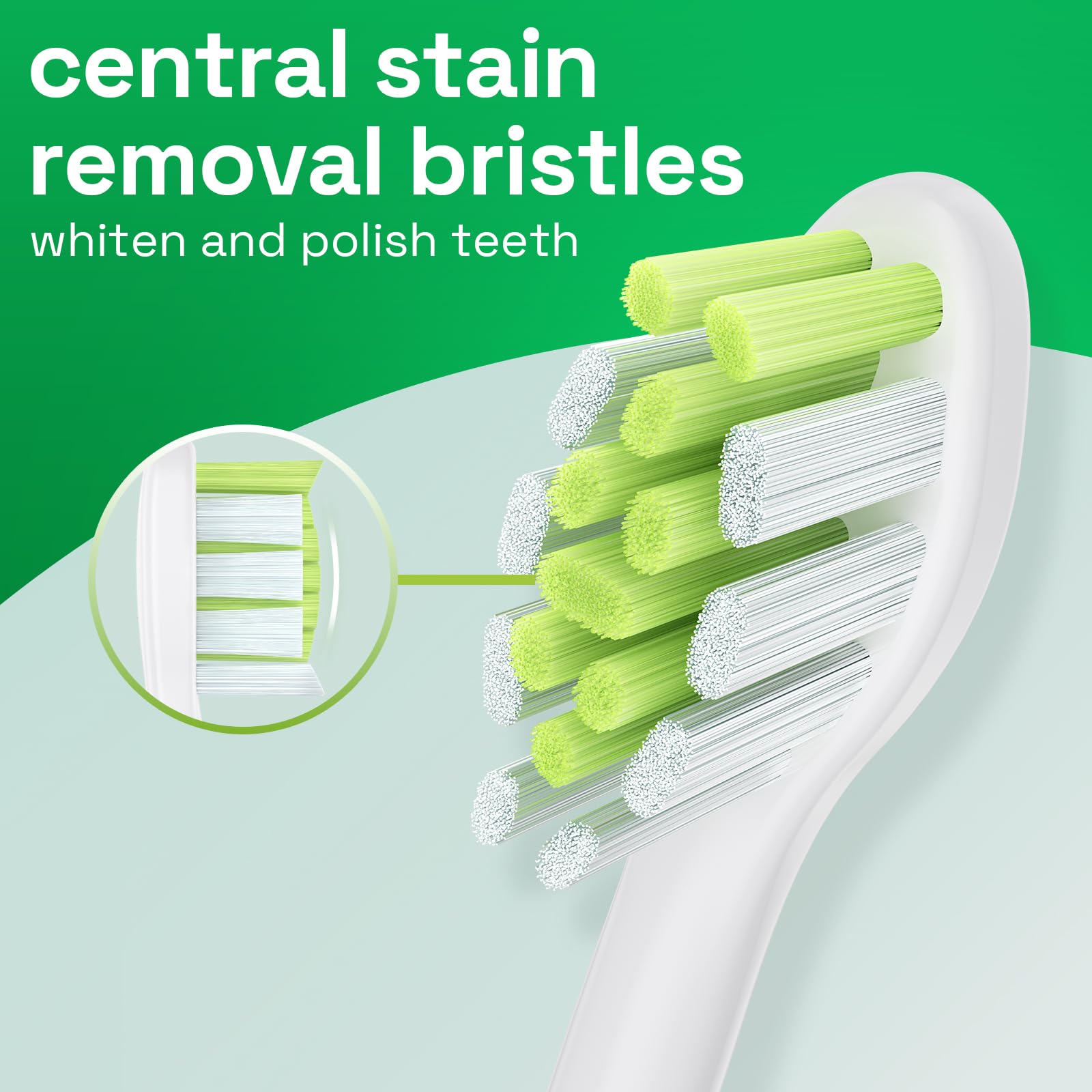 Medium-firm Dupont bristles on Brushmo replacement head