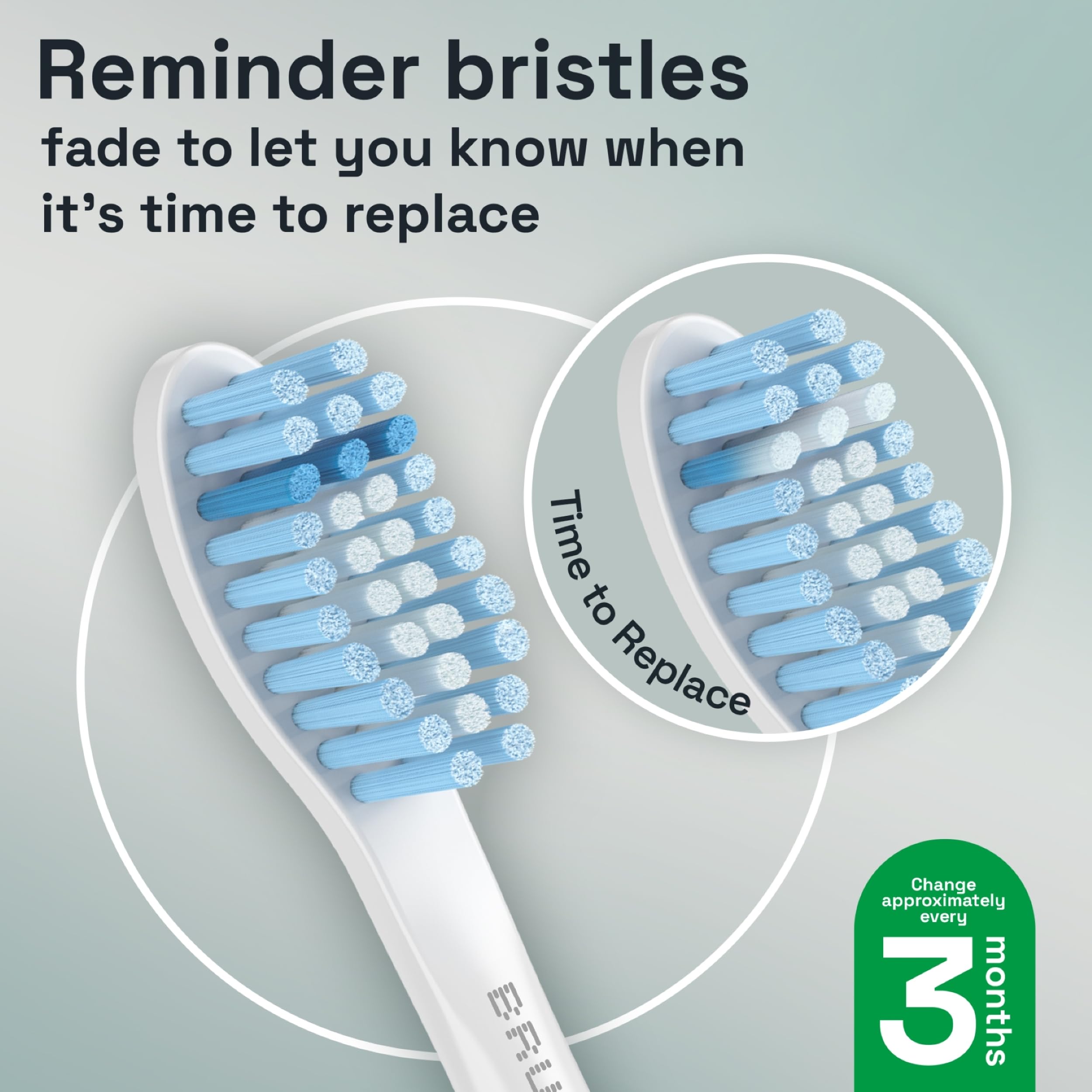 Bristles with curved field and multiple contact points for thorough cleaning