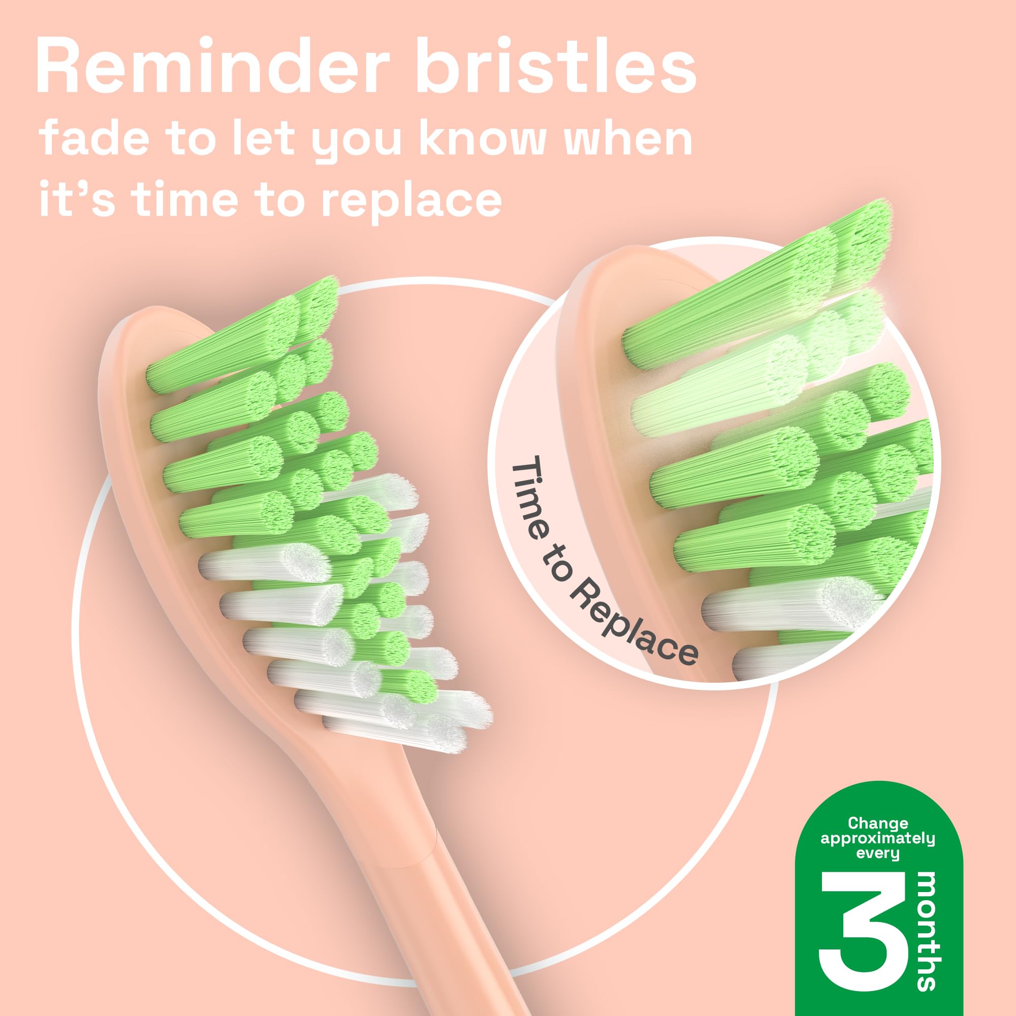 Green indicator bristles on Brushmo head showing when to replace