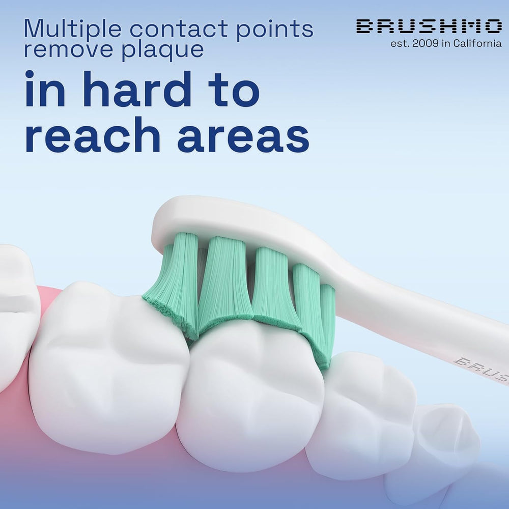1 compact Brushmo replacement head from the 10-pack
