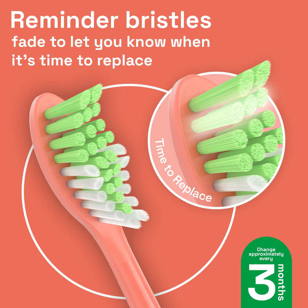 DuPont soft bristles on Brushmo replacement head