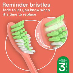 DuPont soft bristles on Brushmo replacement head