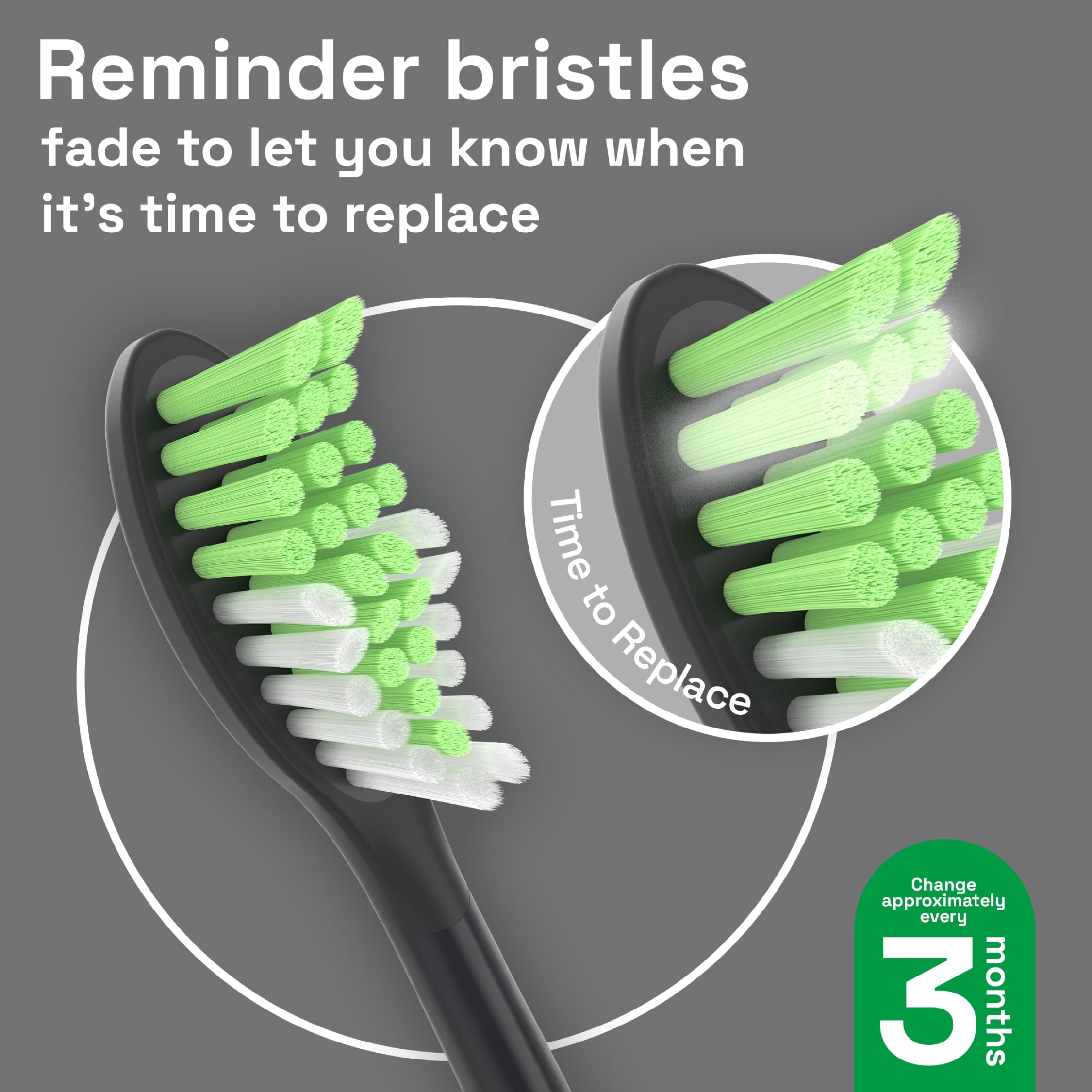 Shadow Black Brushmo replacement head showing green indicator bristles
