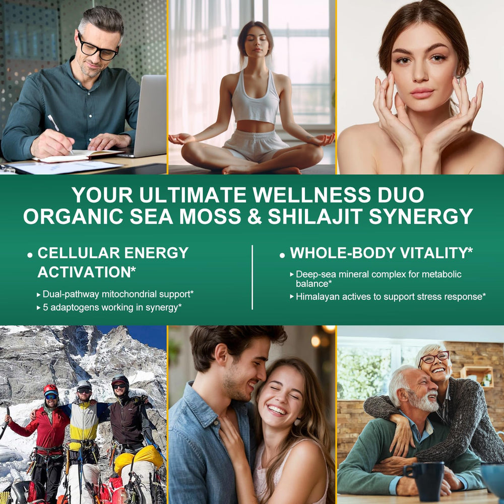 Close-up of ashwagandha, rhodiola and ginseng capsules