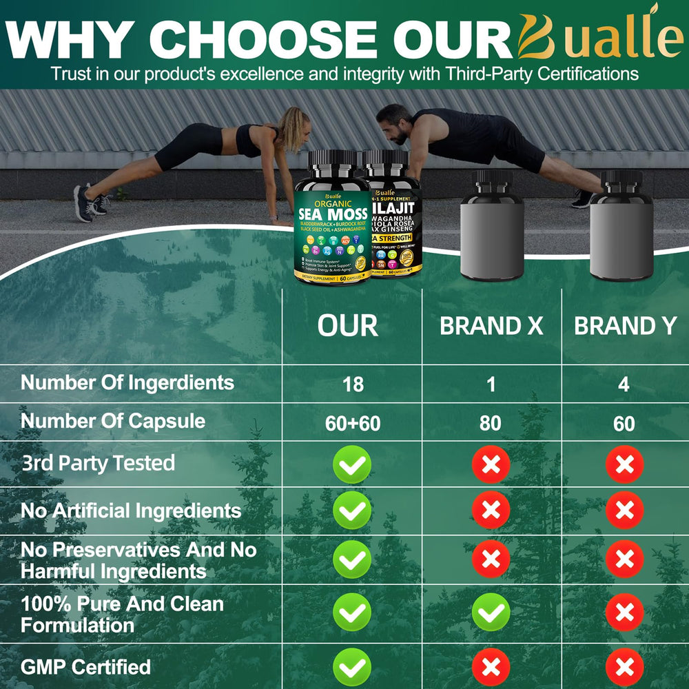 Ginger and Shilajit components display