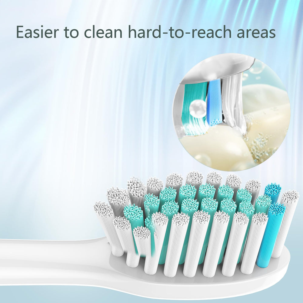 Soft and dense bristles for daily cleaning