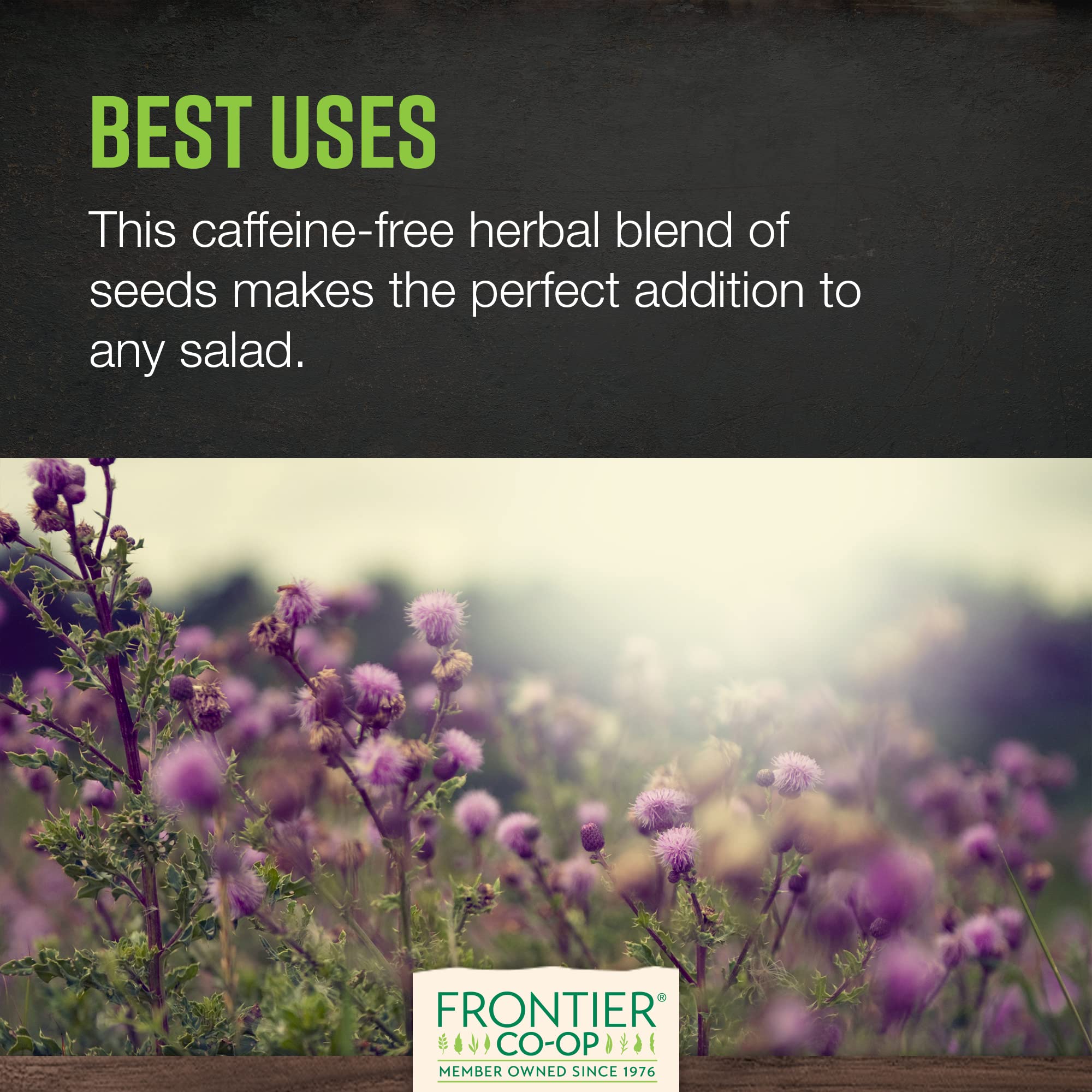 Milk thistle seed sourced from Bulgaria by Frontier Co-op