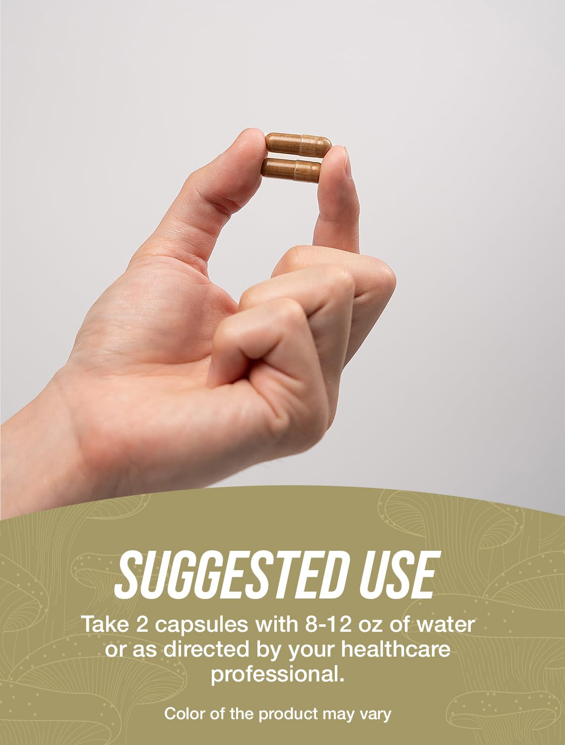 BulkSupplements Lion's Mane packaging on a white background