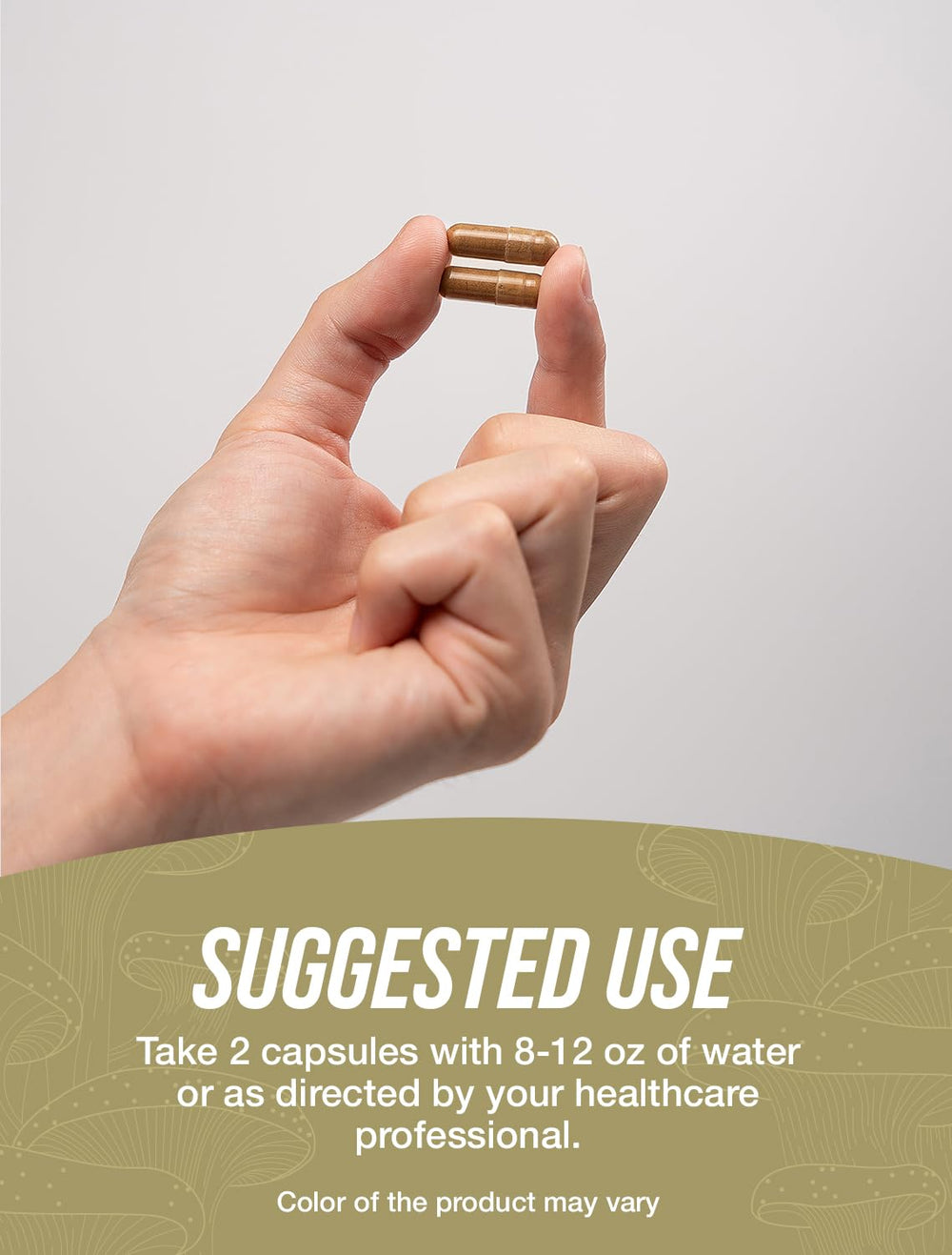 BulkSupplements Lion's Mane packaging on a white background