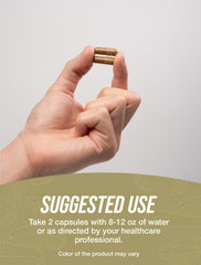 BulkSupplements Lion's Mane packaging on a white background