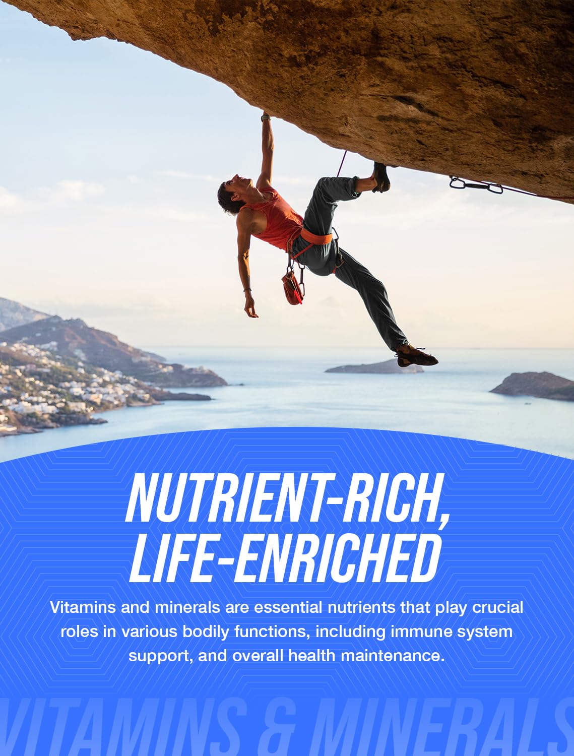 BulkSupplements N-Acetyl L-Carnosine powder ingredients image