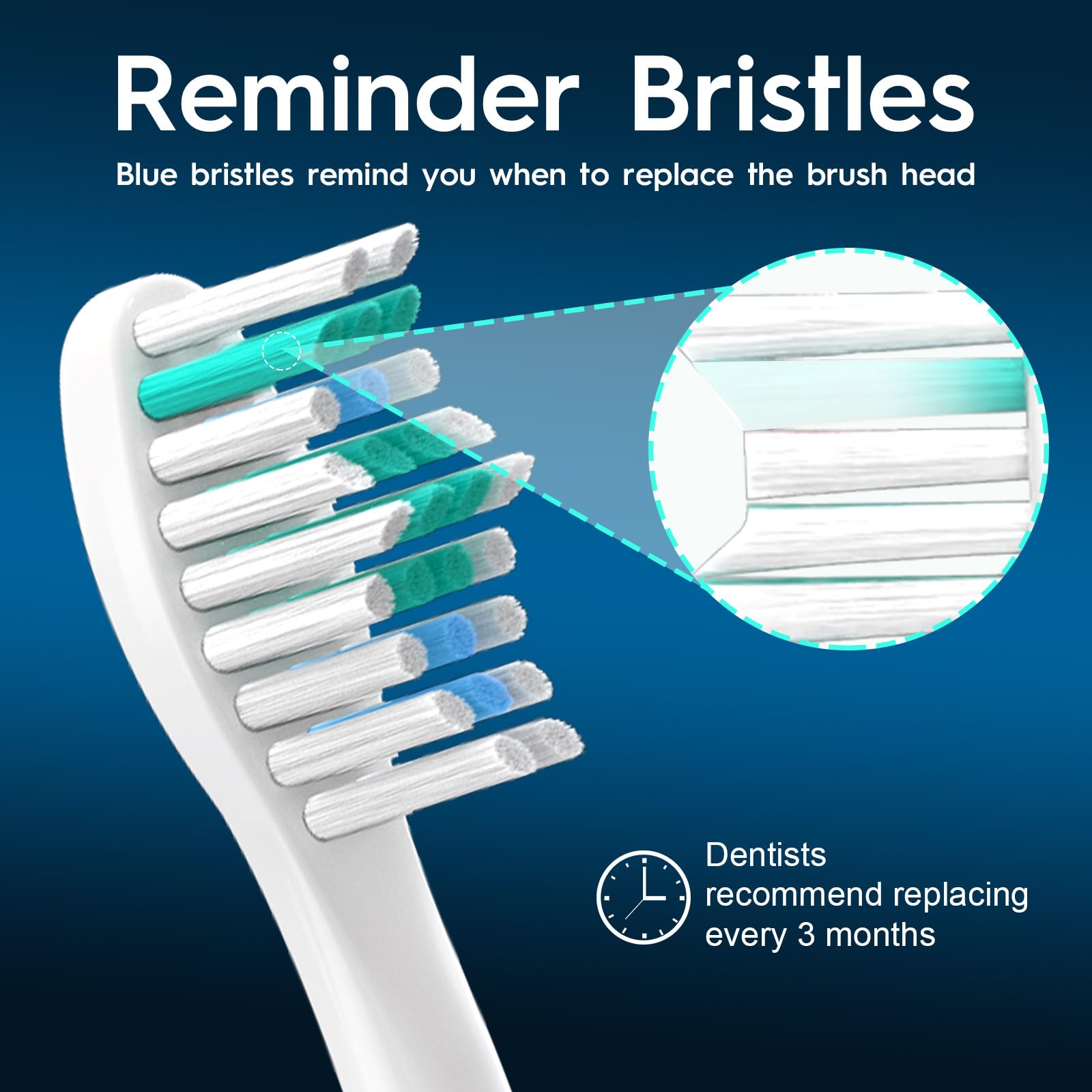 Two color rings on Bullnas replacement brush heads for family differentiation