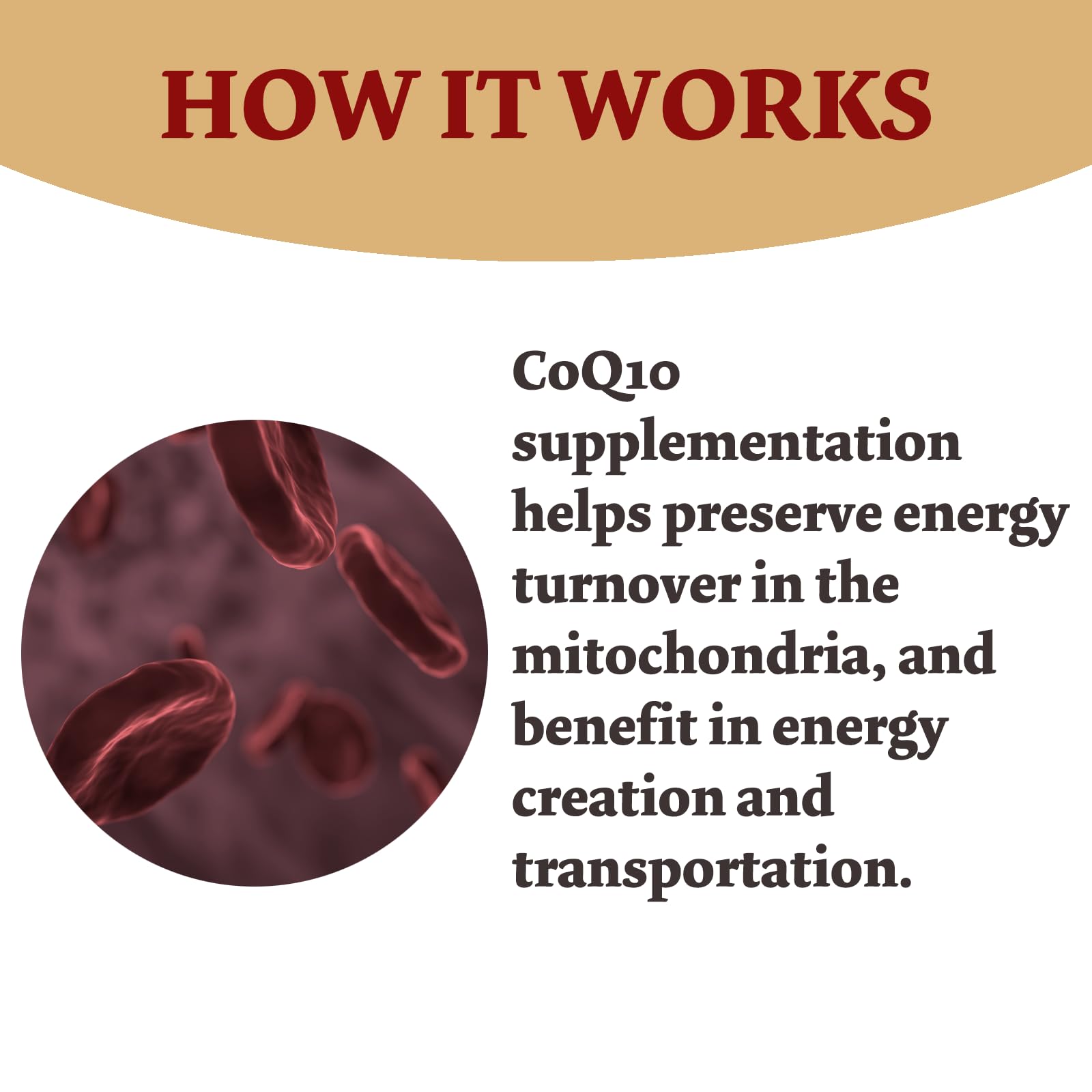 Non-GMO CoQ10 label on bottle