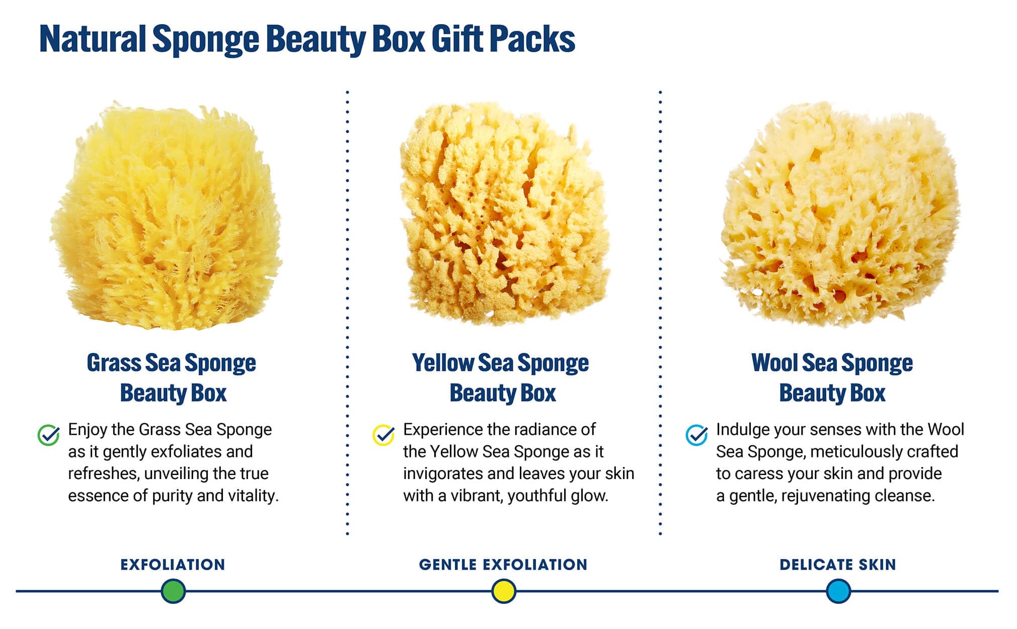 Product packaging for the bundle gift set