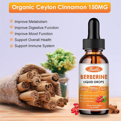 Graphic showing 10-in-1 berberine formula