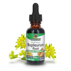 Nature’s Answer Bupleurum Root bottle – front view