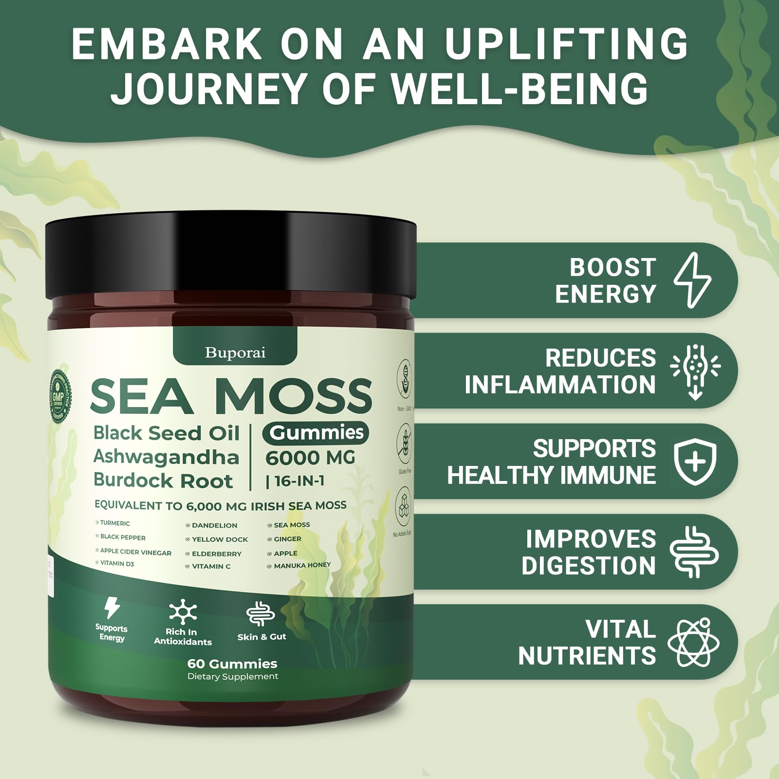 GMP-certified facility badge for safety and quality