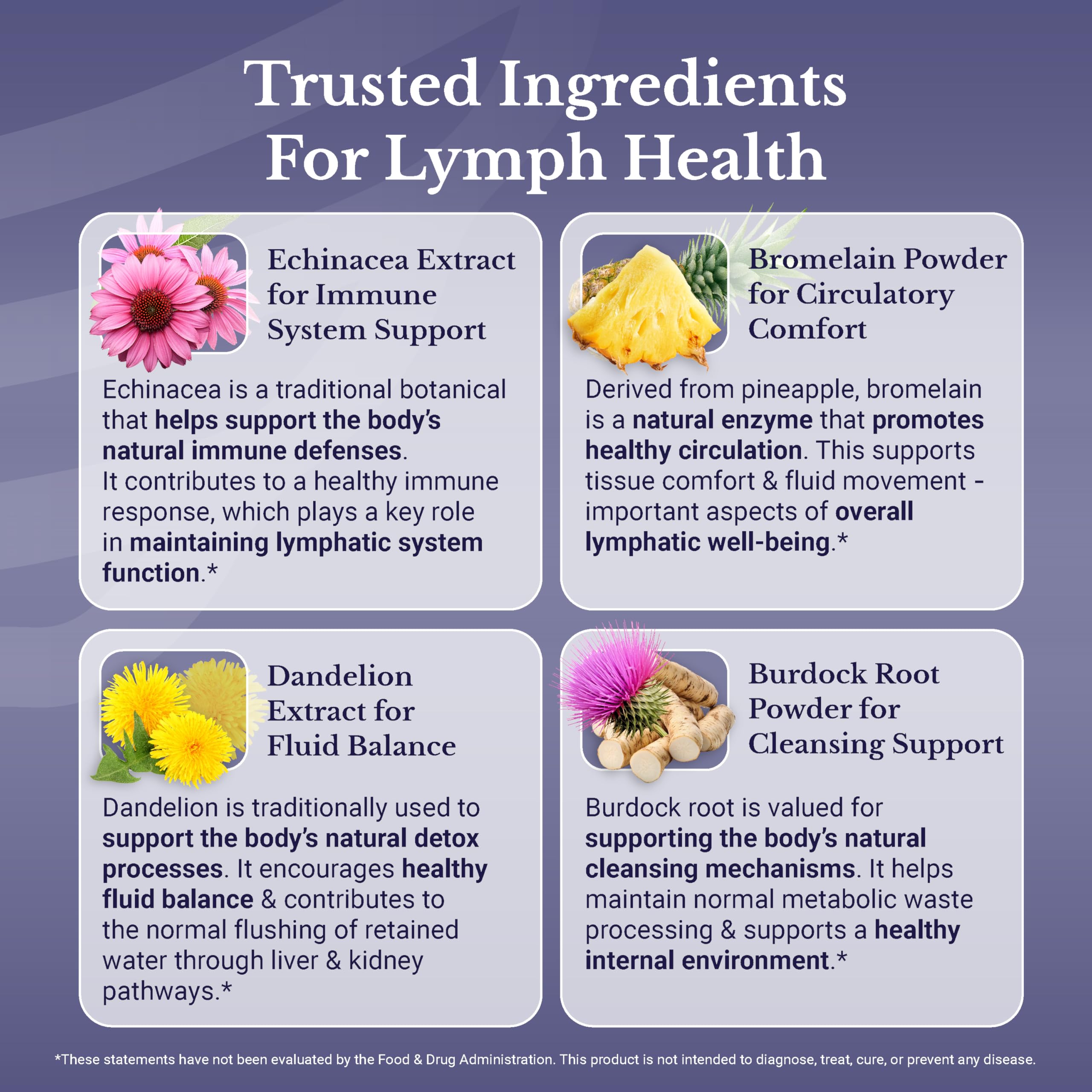 Burdock powder used in Lymph MD