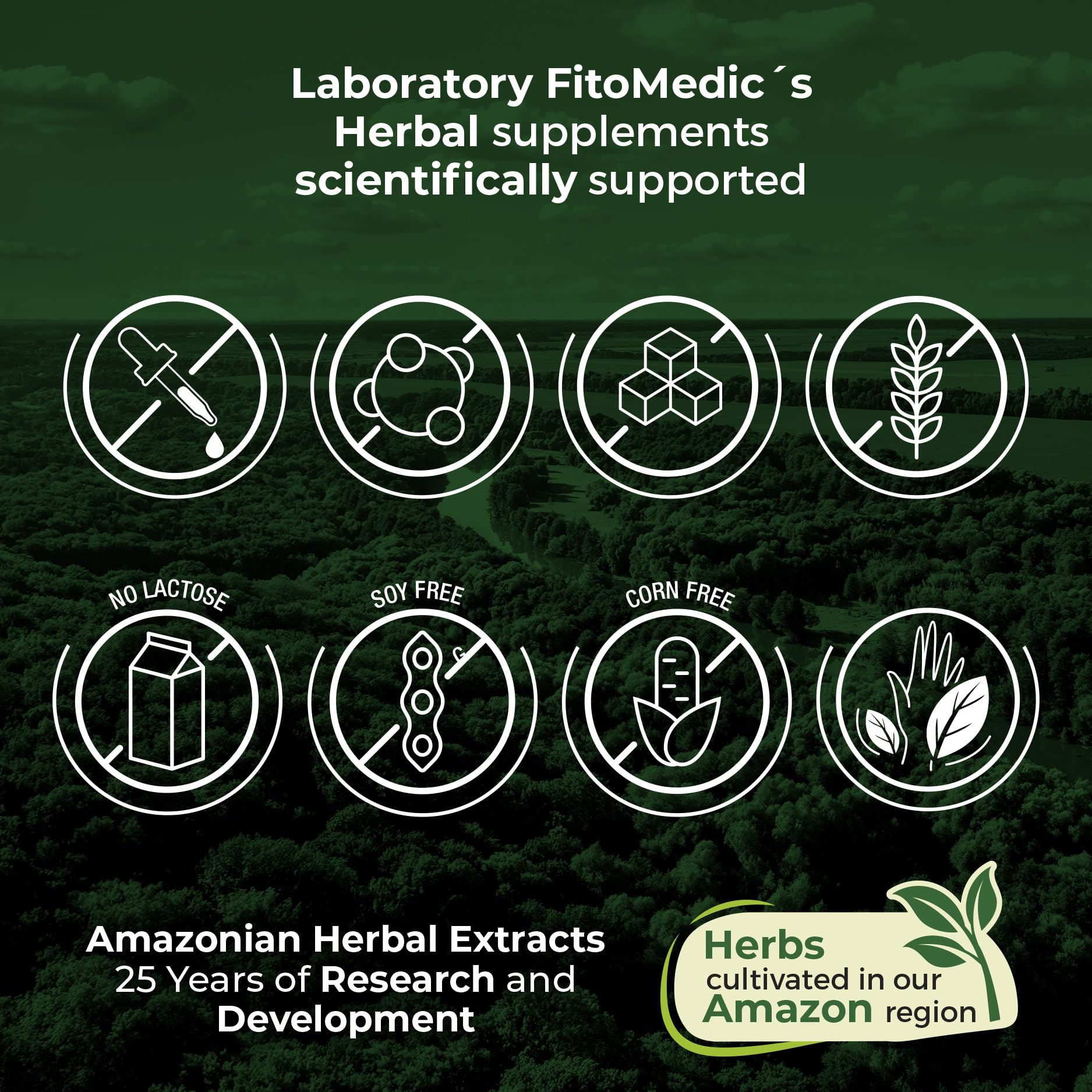 Packaging and box for Burdock Root tincture
