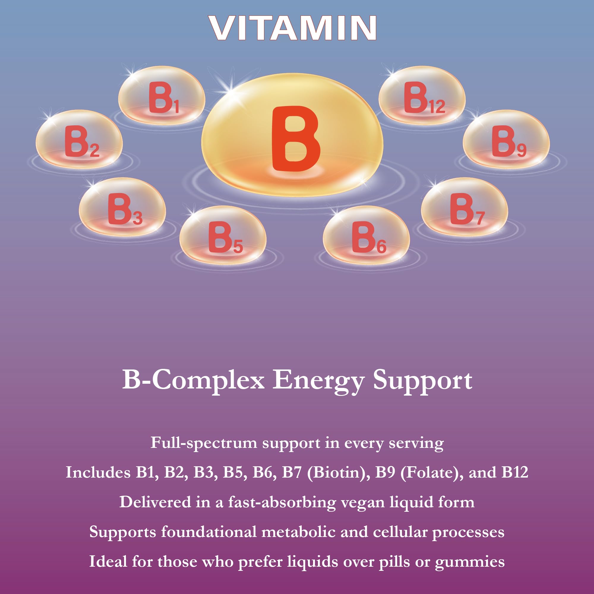 Illustration of B vitamins included in B Complete (B1, B2, B3, B5, B6, B7, B9, B12)