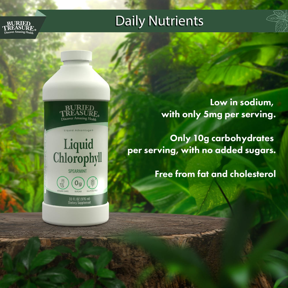 Ingredients panel for Buried Treasure Liquid Chlorophyll 100 mg