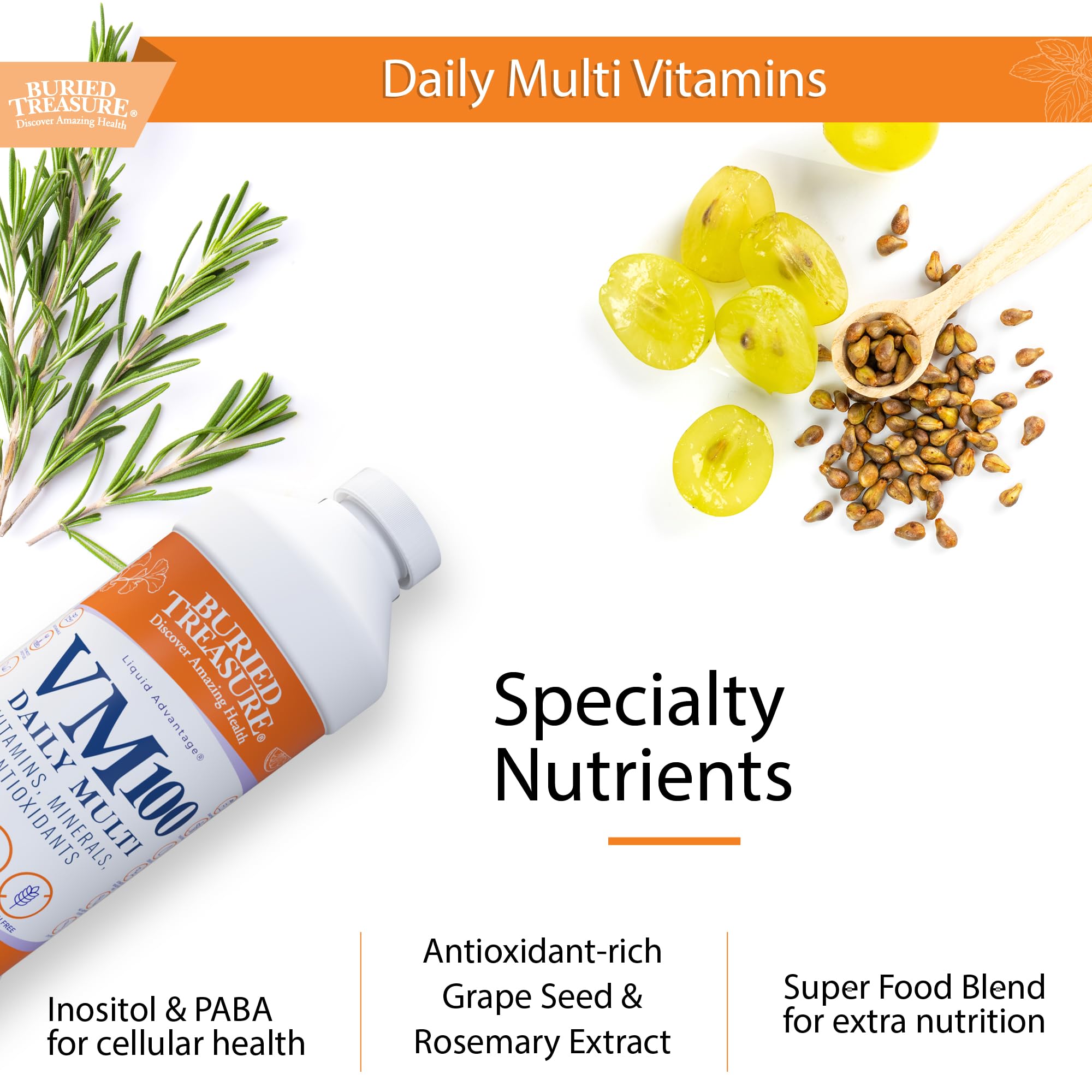 Buried Treasure VM100 Daily Multi plant minerals section emphasizes fulvic minerals