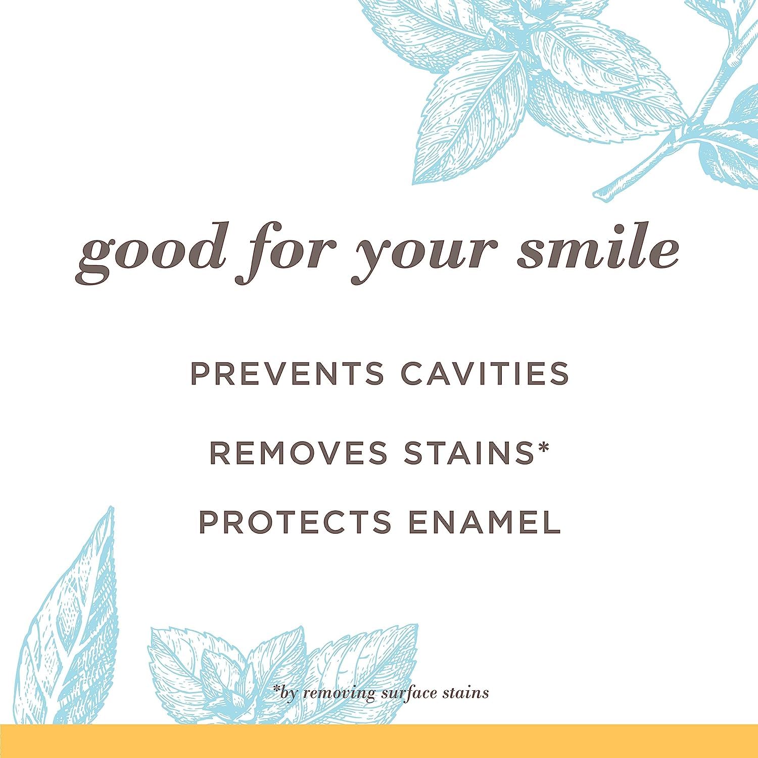 Back view of Burt's Bees Extra White Toothpaste Mountain Mint packaging