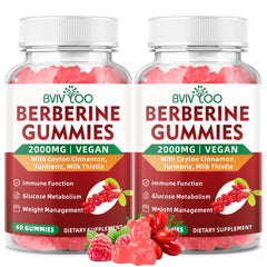 Front view of BVIVLOO Berberine Gummies 2-pack bottle