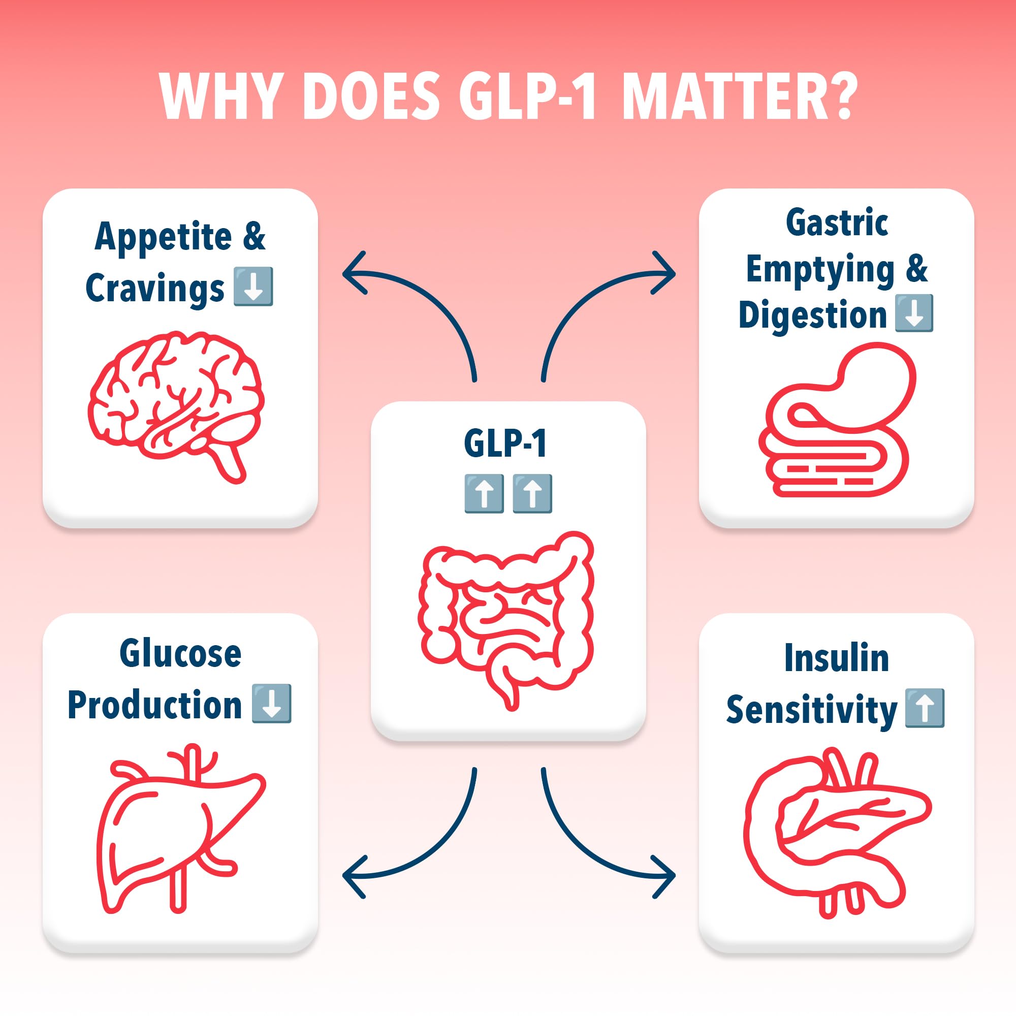Bye-Bye Weekend Bye-Bye Carbs Beta-Glucan visual highlights proven digestive support