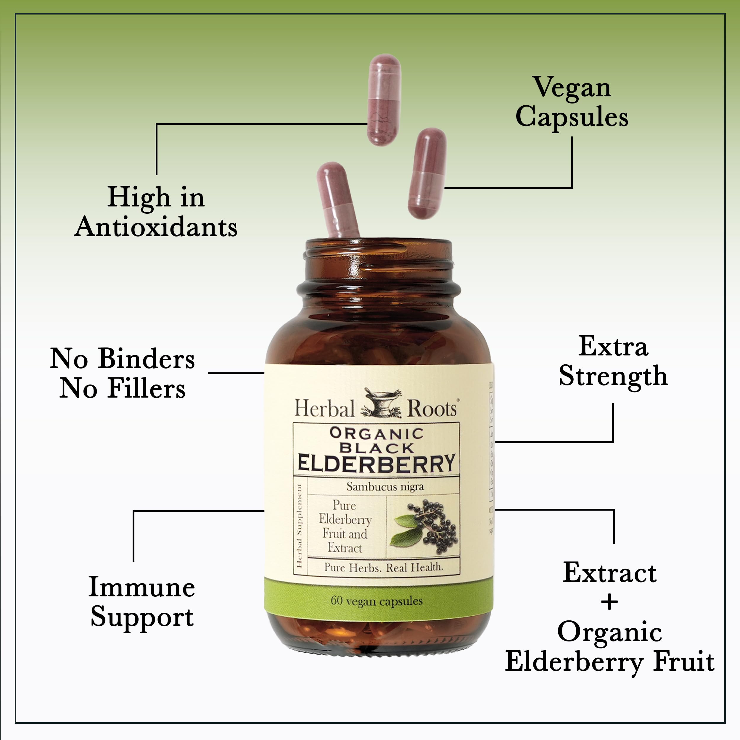 cGMP-certified manufacturing facility for elderberry capsules