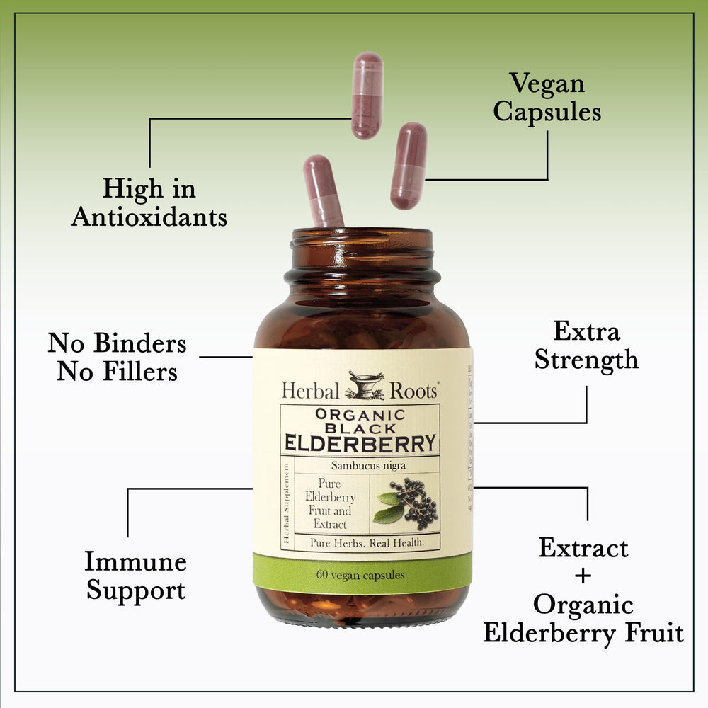 cGMP-certified manufacturing facility for elderberry capsules