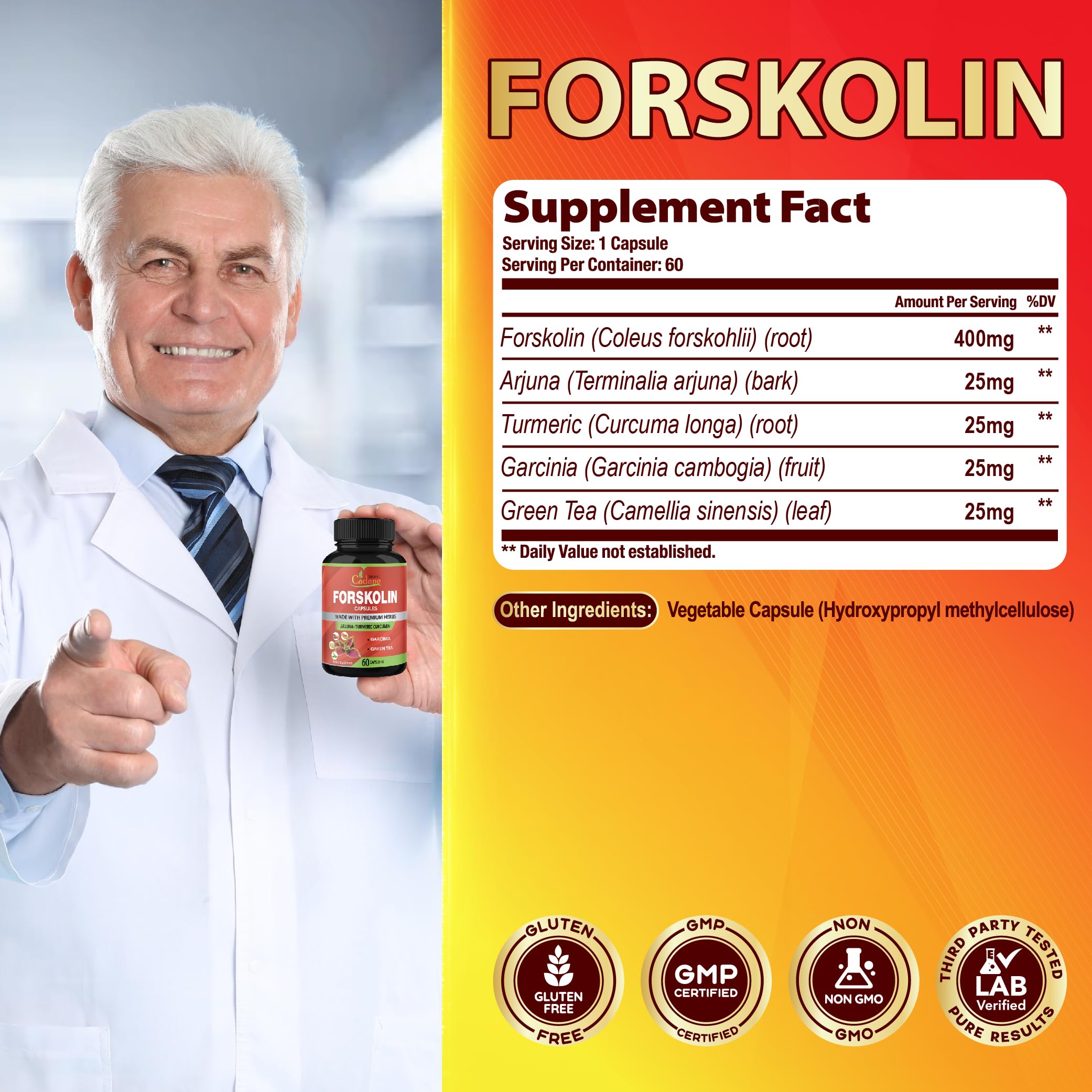 Cadane Forskolin Turmeric Garcinia Green Tea ingredients close-up