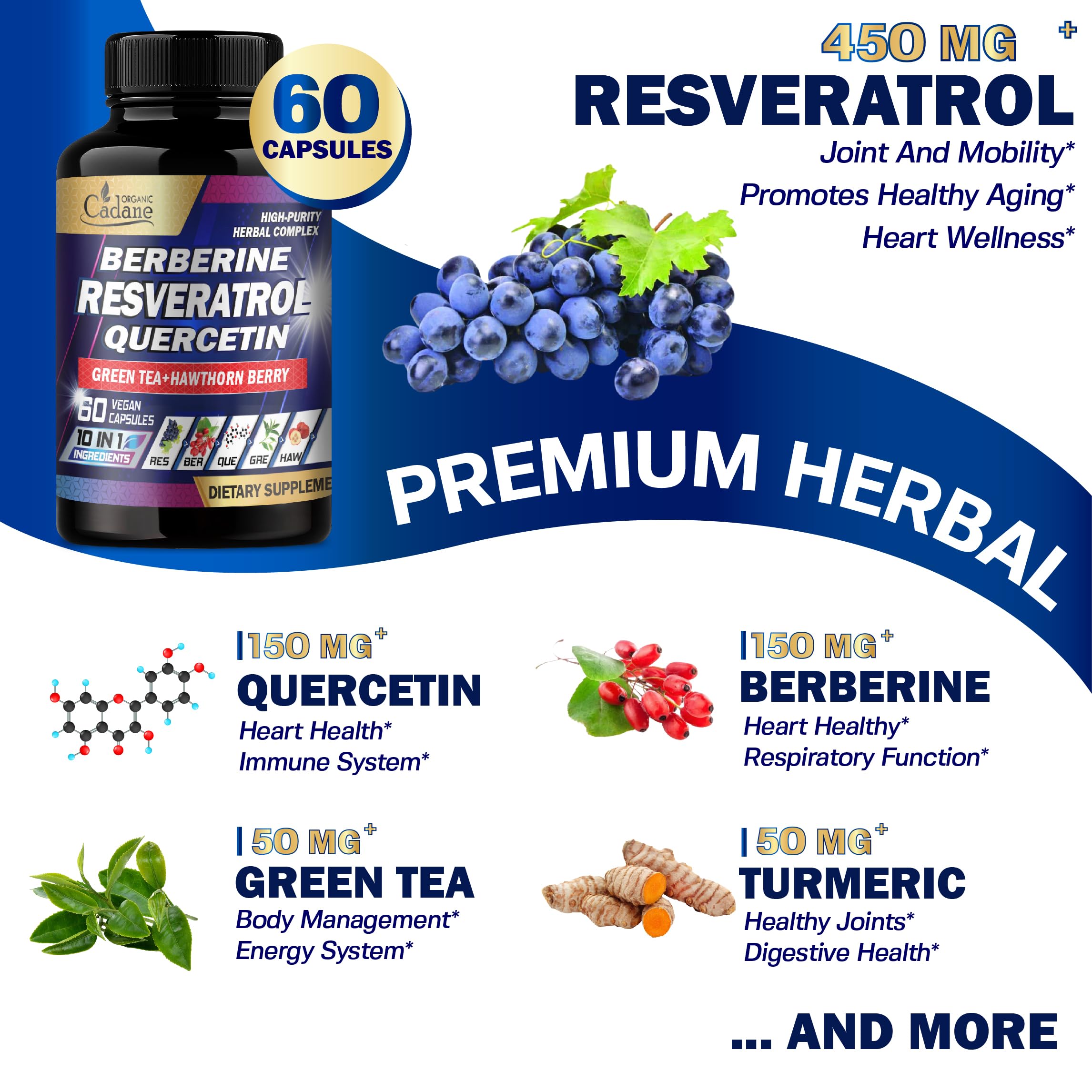 Resveratrol blend with quercetin, berberine, and green tea ingredients