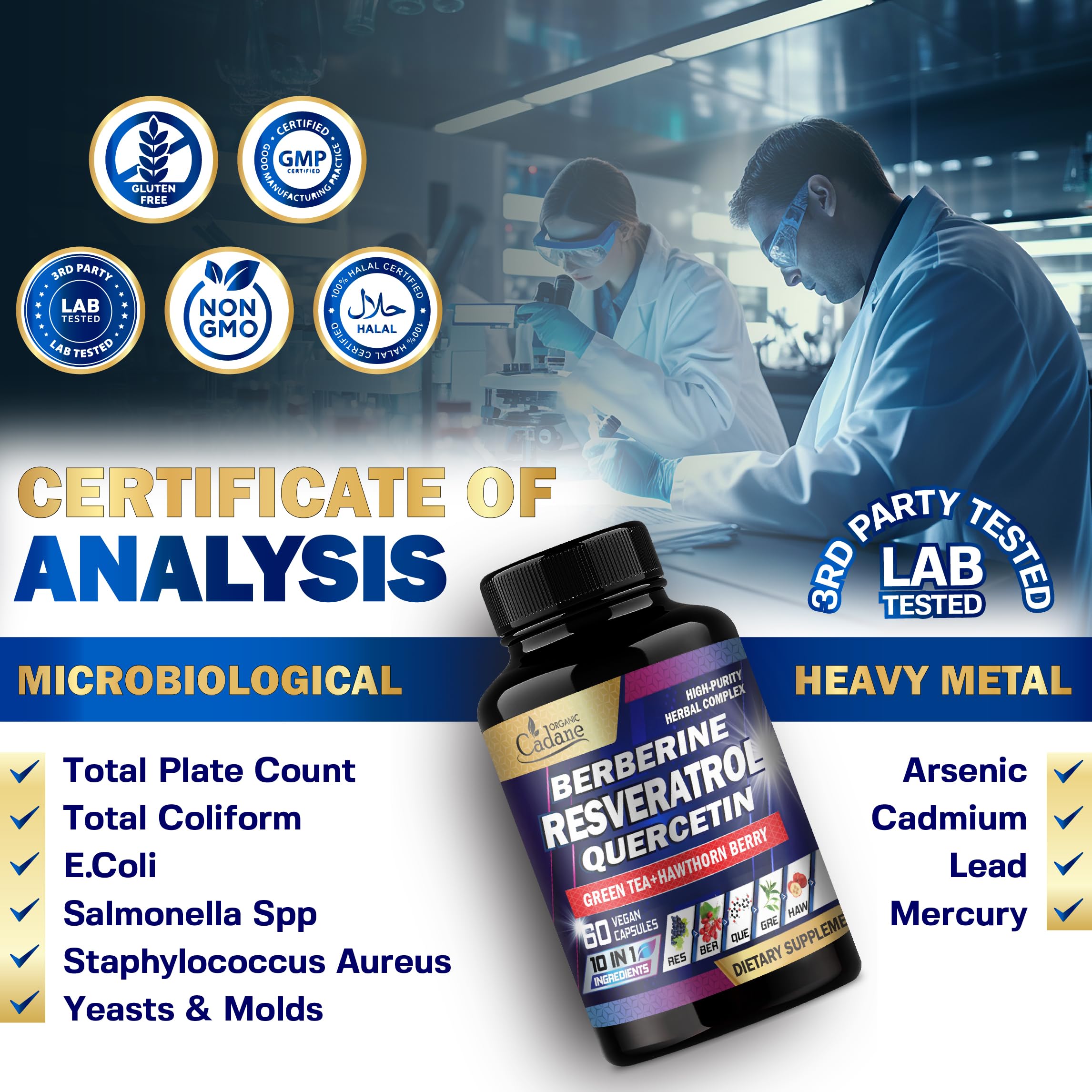 Wellness and healthy aging support graphic