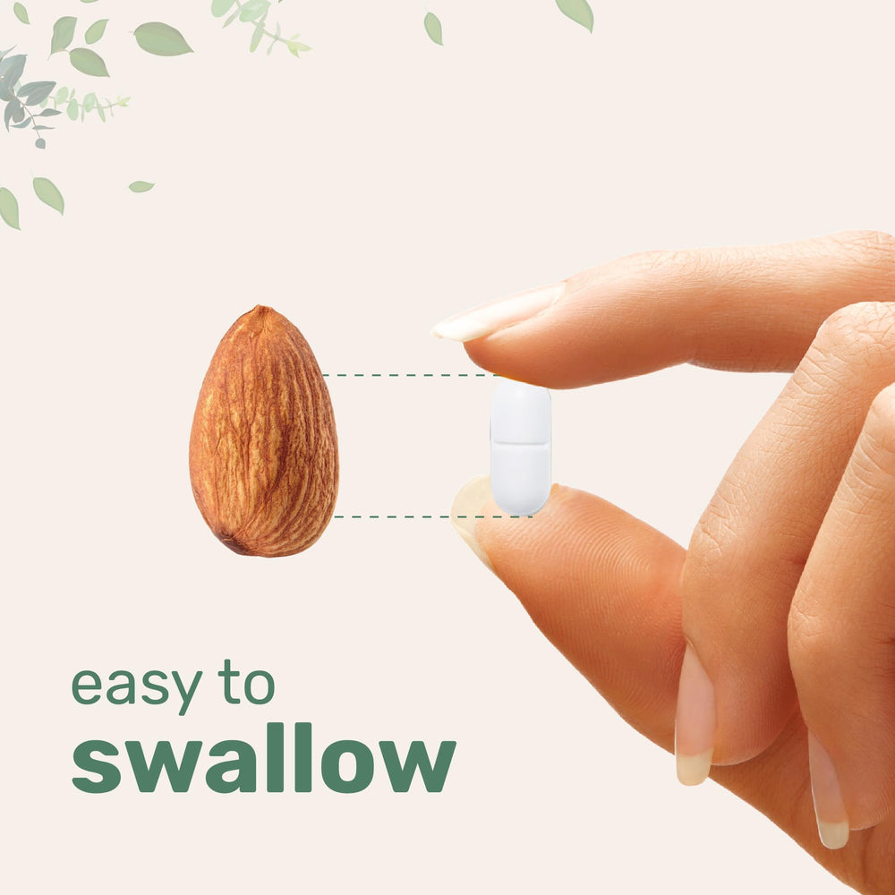 Graphic showing calcium absorption and bone health