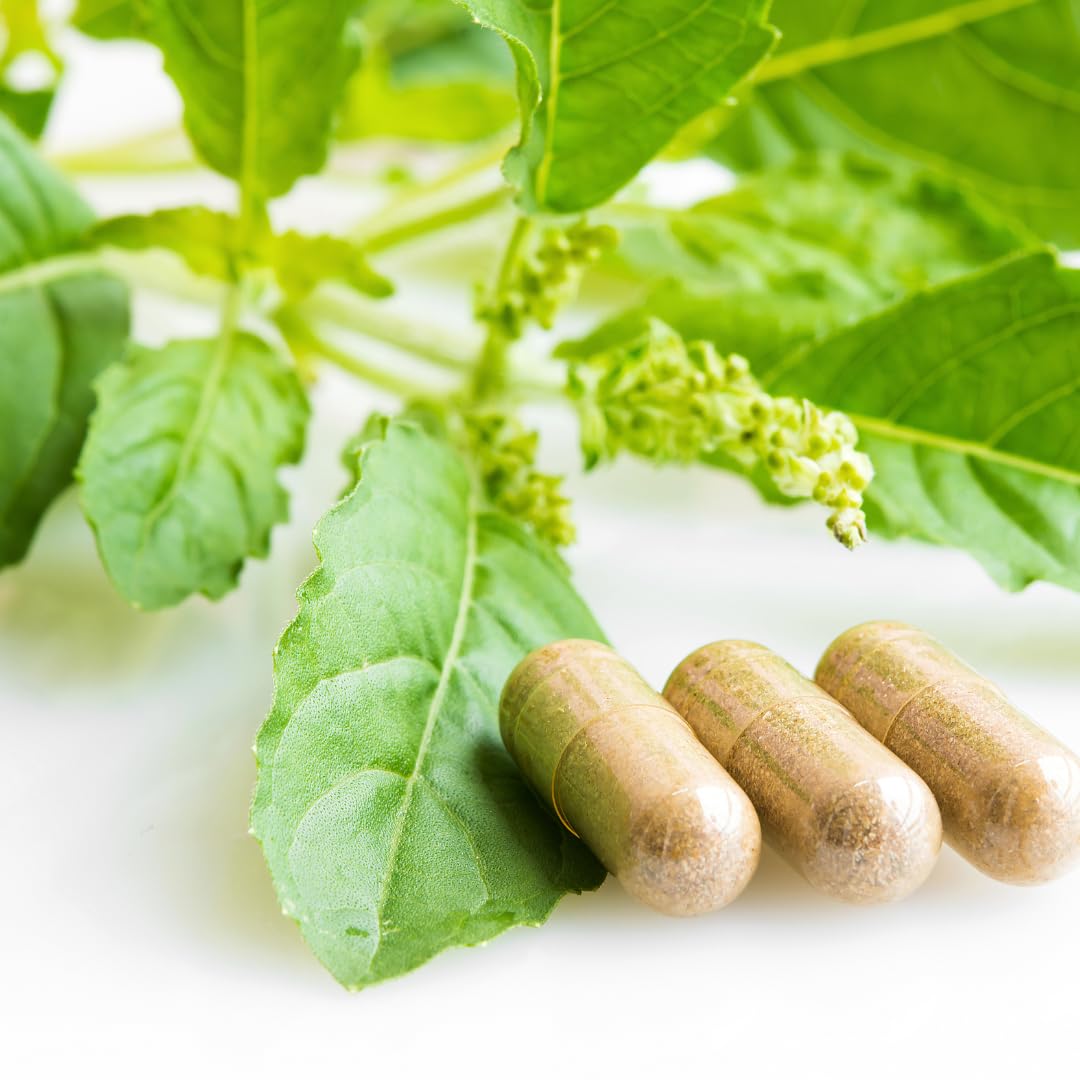 Label highlights no additives, stearates, or rice fillers