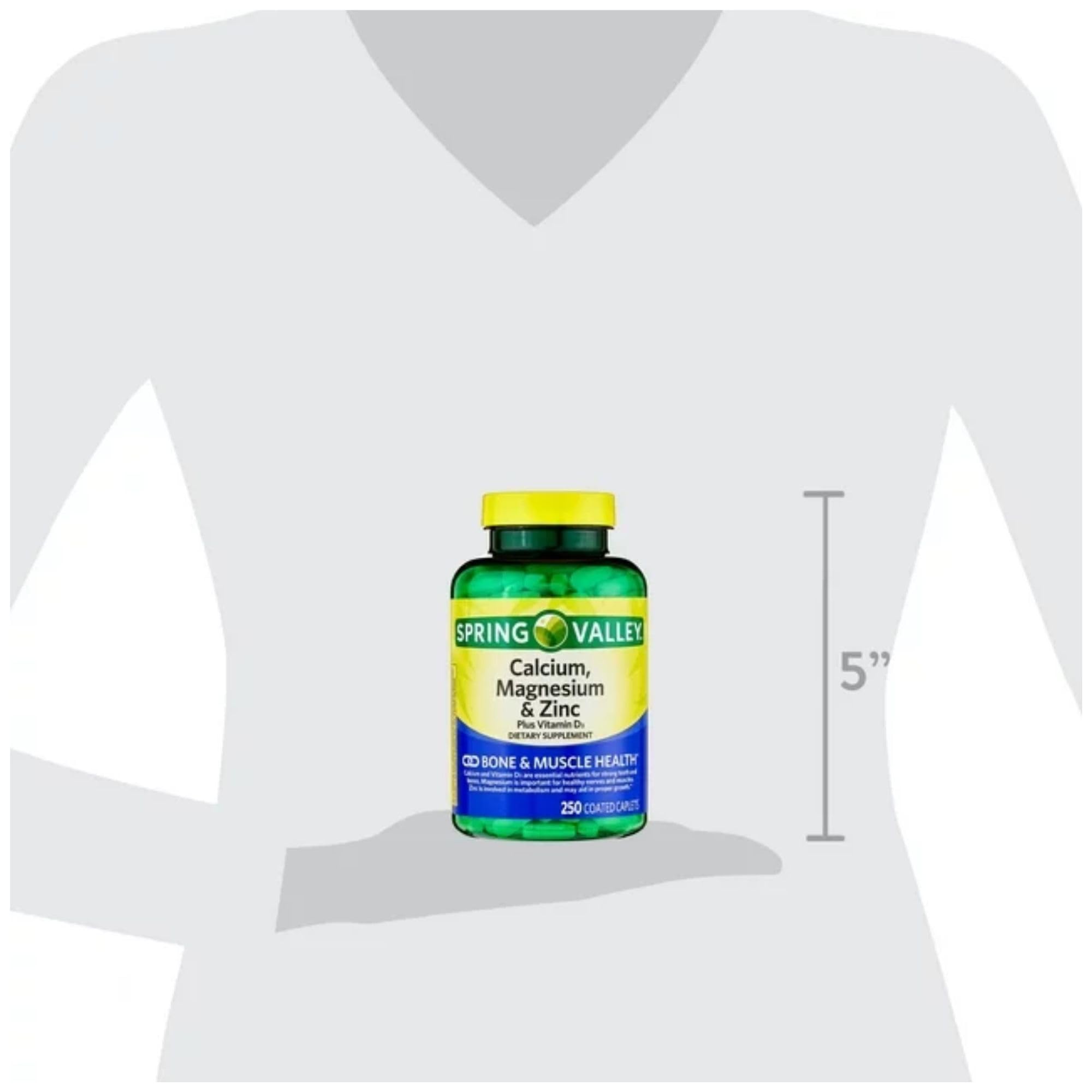 Muscle and immune support concept image