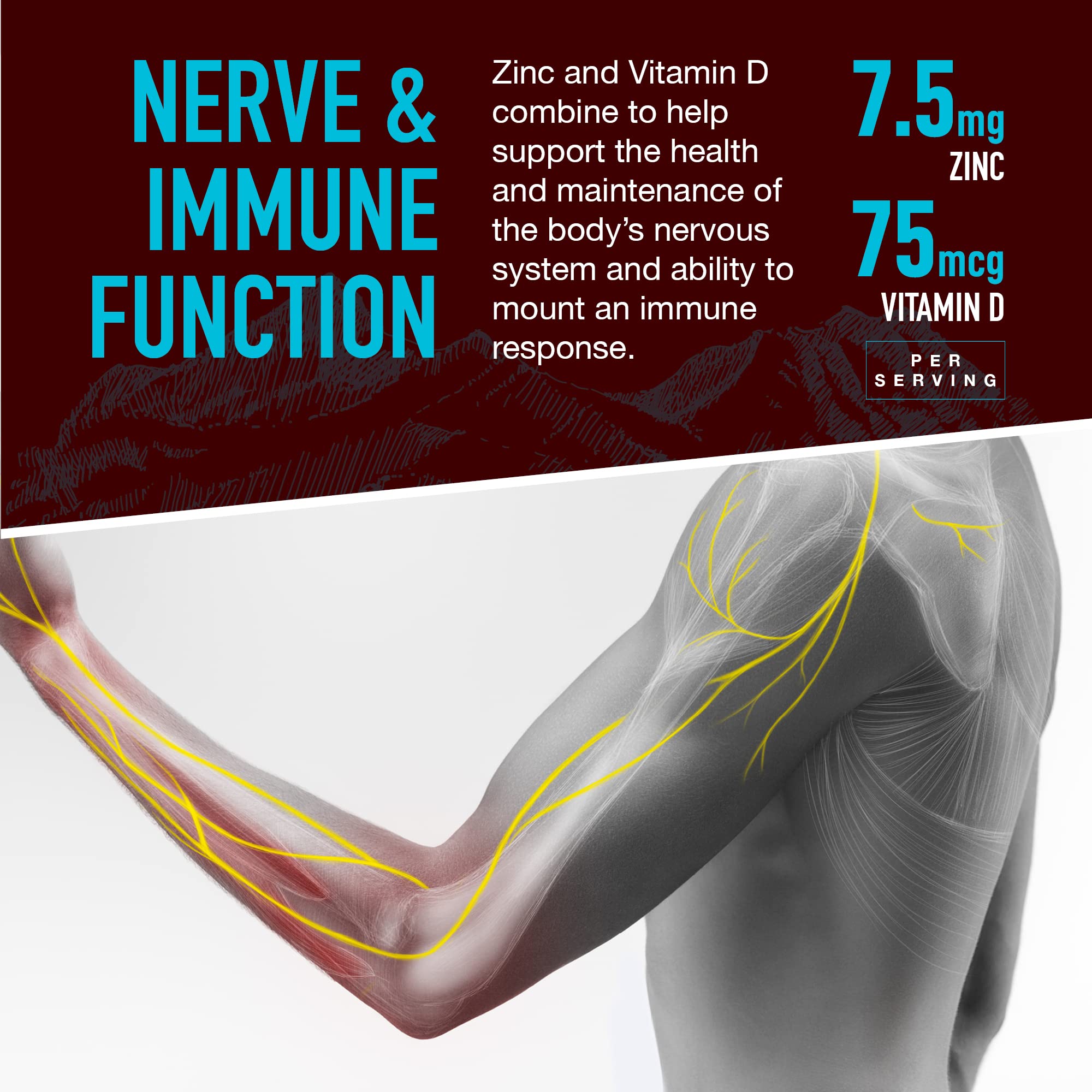 Illustration highlighting bone and teeth support from minerals